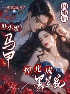 闪婚后马甲大佬宠妻成瘾 小说